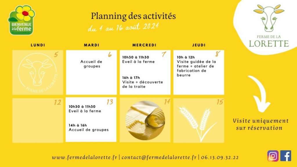 Planning été 2024 semaine 3